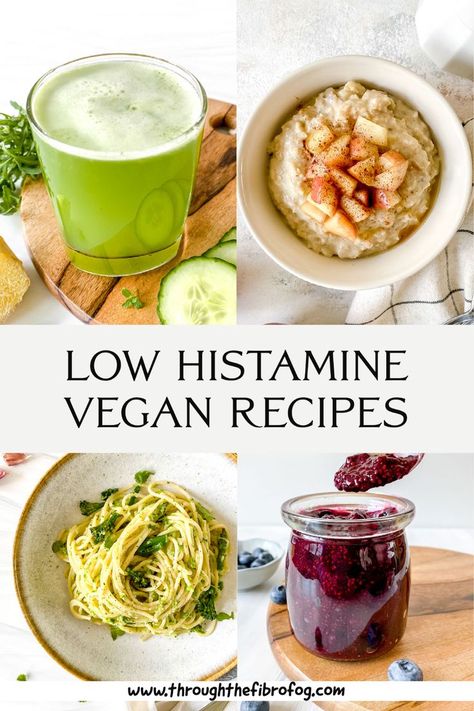 Anti Histamine Foods, Gluten Free Dairy Free Snacks, High Histamine Foods, Vegan Food List, Low Histamine Foods, Fibro Fog, Healthy Vegan Recipes, Low Histamine Diet, Dinner Snacks