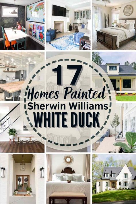 Everything you need to know to decide if Sherwin Williams White Duck (SW 7010) is the right neutral paint color for your own home! See it in 17 real spaces, learn the undertones, coordinating colors + more! #sherwinwilliams #whiteduck #sherwinwilliamswhiteduck #whiteducklivingrooms #whiteduckkitchencabinets #whiteduckexterior #whiteduckbathroom #whiteduckbedroom Sherwin Williams White Duck, Sherwin Williams White, Shoji White, Duck House, Neutral Paint Color, The Undertones, Best Paint, Color Study, Sherwin Williams Paint Colors