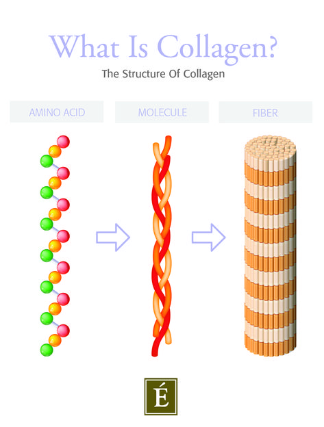 Collagen is known as the key to a youthful-looking complexion, but what is it exactly? Read more to learn how #collagen benefits your skin. Skin Biology, Health Benefits Of Collagen, What Is Collagen, Collagen Skin Care, Aesthetic Health, Health Aesthetic, Eminence Organic Skin Care, Collagen Benefits, Dna Repair