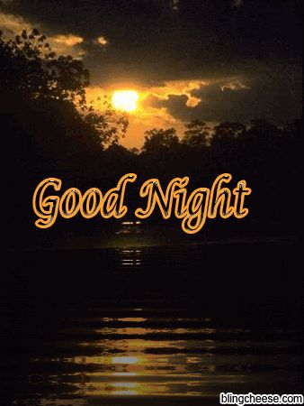 Good Night Flowers, Night Gif, Slaap Lekker, Good Night Friends, Good Night Gif, Good Night Blessings, Night Messages, Night Pictures, Good Night Greetings