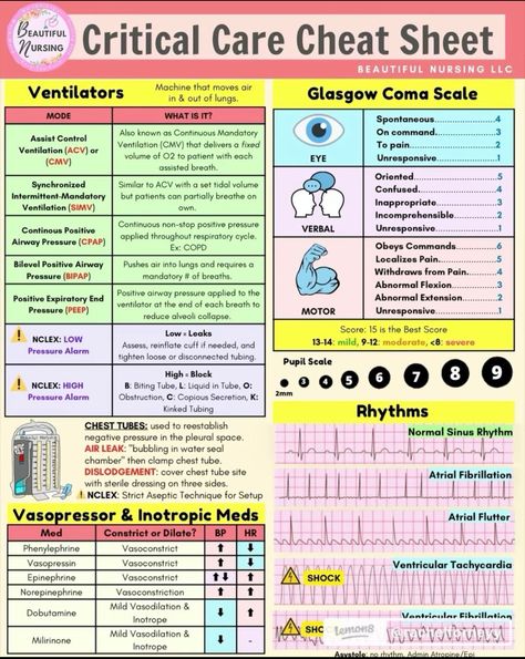 Nursing School Prep, Nursing School Studying Cheat Sheets, Medical Assistant Student, Nursing School Essential, Nursing Study Guide, Nursing School Motivation, Questions With Answers, Nurse Study Notes, Nursing Mnemonics