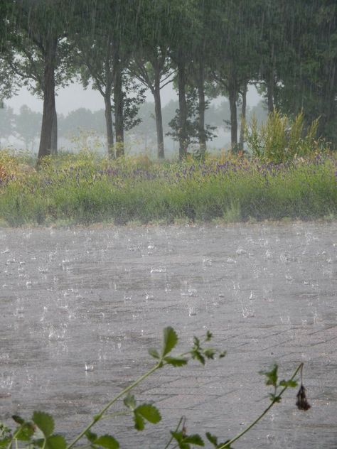 Rain love... Smell Of Rain, Rainy Day Aesthetic, I Love Rain, Love Rain, Rainy Night, Summer Rain, Sound Of Rain, Heavy Rain, Foto Art