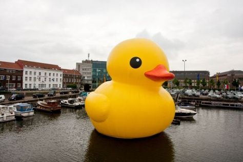 Giant rubber ducky by Florentijn Hofman.  Lots of awesome pictures when you click the link. Big Duck, Dutch Art, Blog Art, Graffiti Font, Rubber Ducky, Dutch Artists, Land Art, Rubber Duck, Public Art