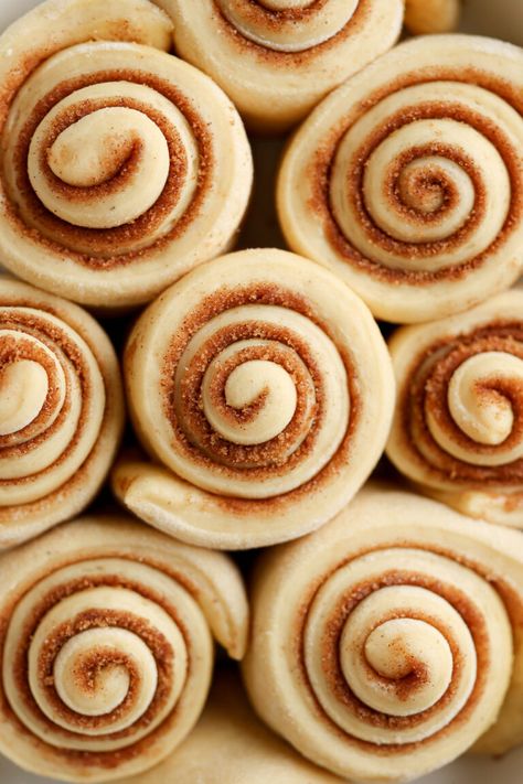 Brioche Cinnamon Rolls | Sturbridge Bakery Brioche Cinnamon Rolls, Blackout Cake, Chocolate Cream Cheese Frosting, Cinnamon Roll Dough, Best Cinnamon Rolls, Chocolate Cream Cheese, Cinnamon Rolls Recipe, Donut Recipes, Chocolate Cream