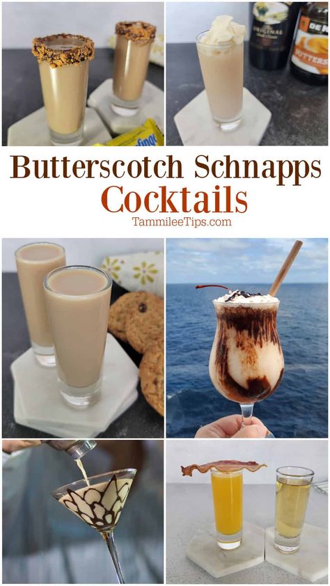 Baileys And Butterscotch Recipes Drinks, Drinks Made With Butterscotch Schnapps, Apple Cider And Butterscotch Schnapps, Butterscotch Martini Recipe, Butterscotch Rum Drinks, Butter Ripple Schnapps Drinks, Butterscotch Schnapps Shots, Shots With Butterscotch Schnapps, Butterscotch Snaps Drinks