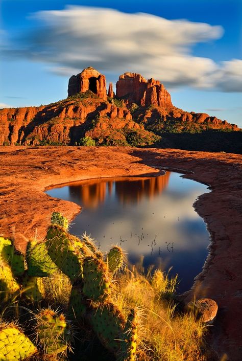 . Desert Places, Arizona Landscape, Southwest Art, Red Rocks, Sedona Arizona, Beautiful Landscape Wallpaper, Landscape Drawings, Desert Landscaping, Nature Images