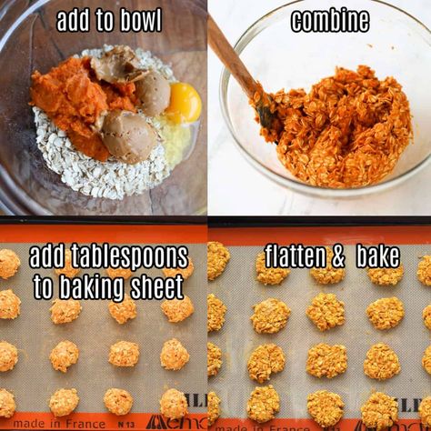 Pumpkin Puree Dog Recipes, Fall Homemade Dog Treats, Dog Treats Homemade Pumpkin Peanut Butter, Pumpkin Dog Treats Easy No Flour, Oat And Pumpkin Dog Treats, Pumpkin Pet Treats, Tumeric Treats For Dogs, Dog Treats Homemade Pumpkin Oatmeal, Puppy Pumpkin Treats