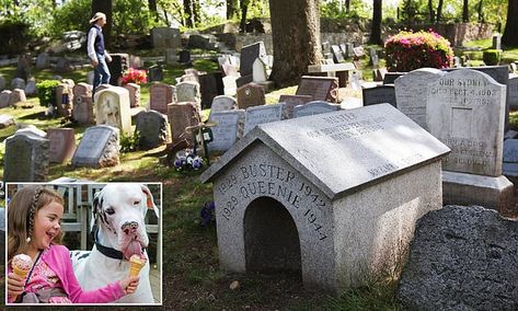 Survey of pet cemetery tombstones reveals most popular names Pet Tombstone, Beagle Hound, Pet Sematary, Pet Cemetery, Princess Dog, Famous Graves, Farm Heroes, Cemetery Art, Dog Houses