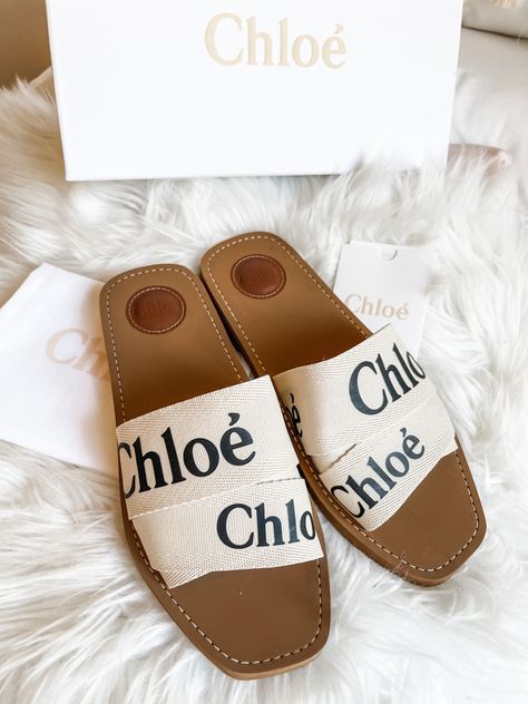 Chloe Flats, Vacation Sandals, Shoes Heels Stilettos, Aloe Vera For Skin, Chloe Logo, Chloe Sandals, Chloe Shoes, Heels Classy, Shoe Inspo