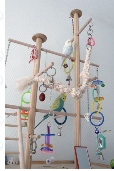 Budgie Playground, Homemade Bird Toys, Diy Parrot Toys, Parakeet Care, Cockatiel Toys, Diy Bird Cage, Parakeet Toys, Budgie Toys, Diy Bird Toys