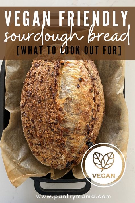 Is sourdough bread vegan? All your questions answered plus things to look out for when looking for plant-based sourdough bread. Vegan Sourdough Bread, Sourdough Bread Recipes, Bread Improver, Whole Wheat Sourdough, Vegan Starters, Sourdough Sandwich, Homemade Sourdough Bread, Sourdough Starter Recipe, Sourdough Baking