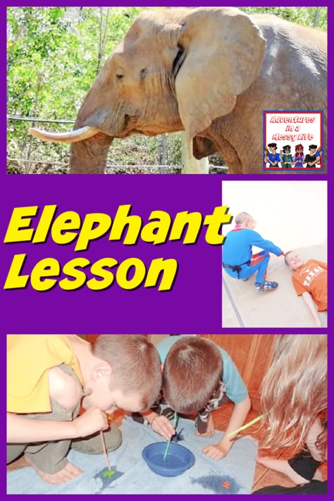 Zoo Science Experiments Preschool, Wild Animal Activity Preschool, Wild Animal Science Preschool, Elephant Theme Preschool Activities, Elephant Preschool Activities, Elephant Activity For Preschool, Elephant Activities For Preschool, Preschool Elephant Activities, Preschool Elephant Crafts