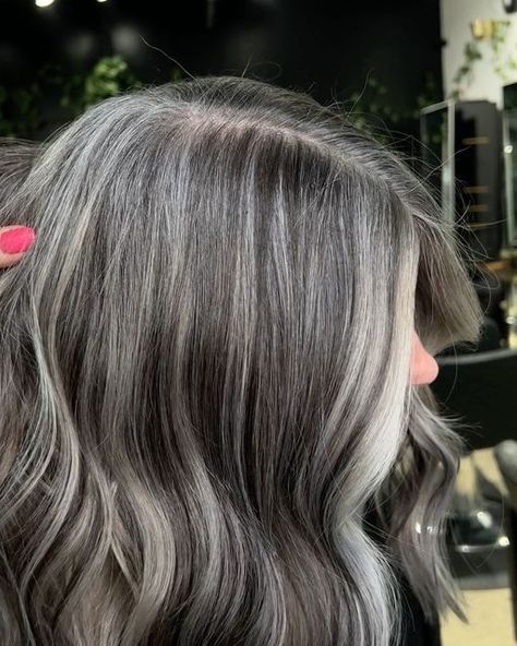 Ash Grey Toner Formula, Low Lights Platinum Hair, Money Piece Grey Blending, Grey Hair Ideas Going Gray, Grey Blending Babylights, Salt And Pepper Balayage, Brunette Hair With Silver Highlights, Going Gray Transition Ideas Grey Hair, Gray Roots Blending