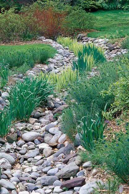 How to Design a Rain Garden | Garden Design Rain Garden Design, Meteor Garden 2018, Garden Design Plans, Garden Tool Set, Dry Creek, Rain Garden, Olive Garden, Kew Gardens, Garden Set