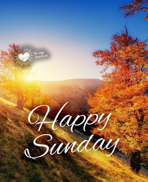 Sunday Fall, Fall Sunrise, Night Greetings, Good Night Greetings, The Energy, Autumn Trees, Happy Sunday, Daily Quotes, Good Night