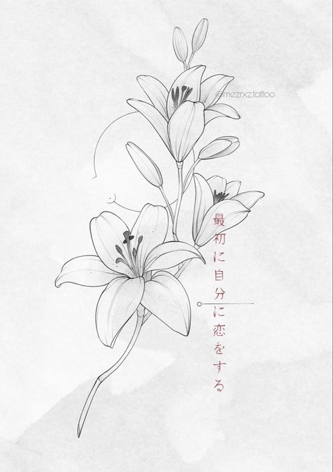 Lily Hibiscus Tattoo, Callily Flowers Tattoo, Tiger Lily Outline, Lilies Flower Tattoo, Lilly Line Drawing, White Water Lily Tattoo, Water Lilly Tattoo Stencils, Kataleya Flower Tattoo, Lily Outline Tattoo