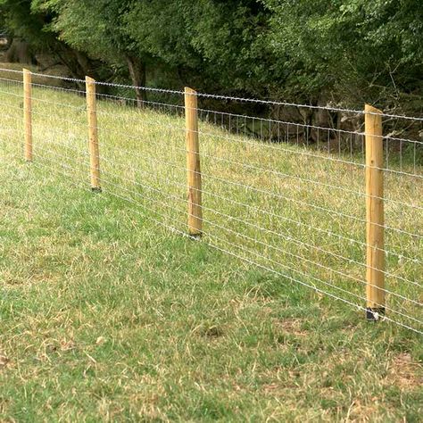 Goat Fencing Ideas, Cow Panel Fence, Cattle Fence Ideas, T Post Fence Ideas, Cedar Post Fence, Farm Fence Ideas, No Climb Horse Fence, Cheapest Fence Ideas, Property Fence