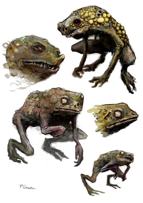 Horror Frogs by chrzan666 on DeviantArt Frog Monster Art, Frog Concept Art, Toad Monster, Fantasy Frog, Frog Monster, Frog Character, Arte Viking, Arte Zombie, Swamp Creature