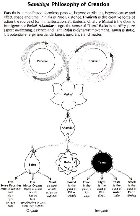 Schema - Samkhya philosophy of creation Yogic Philosophy, Yoga History, Ayurveda Vata, Yoga Om, Sahaja Yoga, Magia Das Ervas, Yoga Sutras, Yoga Kurse, Yoga Wellness