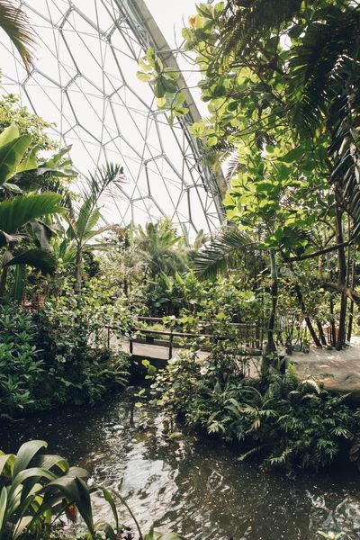 Eden Project Greenhouse, United Kingdom Greenhouse Vibes, Rainforest Biome, The Eden Project, Best Greenhouse, Eden Project, The Eden, Greenhouse Gardening, Plant Aesthetic, Biome