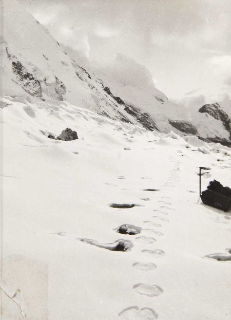 Shipton and his fellow mountaineers followed the alleged Yeti tracks down the side of a glacier, according to the account by Ward. "Whenever a narrow 6-inch-wide crevasse was crossed there seemed to be claw marks in the snow at the end of the toe imprints," Ward noted. British Explorer, Bigfoot Sightings, Abominable Snowman, Loch Ness Monster, Environment Concept Art, Planet Earth, Image Gallery, The Valley, The Snow