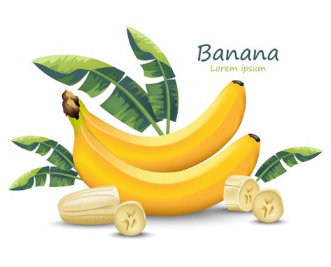 Banana Shop, Organic Food Logo, Dental World, Tooth Care, Healthy And Unhealthy Food, Sparkling Mineral Water, Nature Logo Design, Fruit Icons, Banana Art