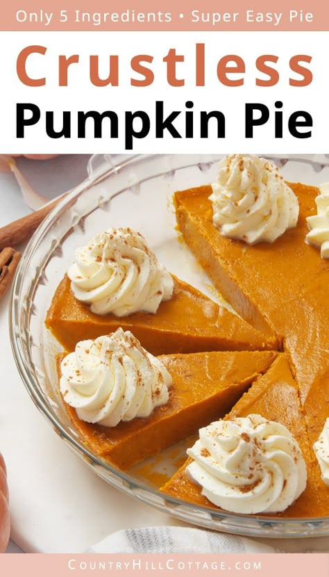 Pumpkin Pie With No Crust, Pumpkin Pie Using Sweet Condensed Milk, Pumpkin Pie No Crust Recipe, Crustless Pumpkin Pie With Sweetened Condensed Milk, Canned Pumpkin And Sweetened Condensed Milk, Pumpkin Pie Without The Crust, Crust Free Pumpkin Pie, Crustless Pumpkin Pie Sweetened Condensed Milk, Libbys Pumpkin Pie Recipe With Sweetened Condensed Milk