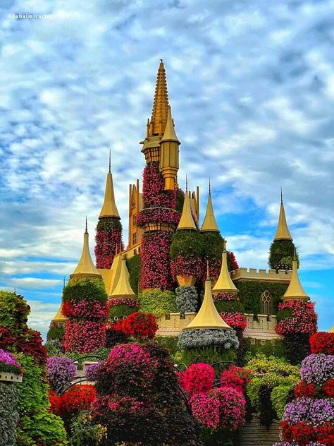 Dubai Miracle Garden Aesthetic, Miracle Garden Dubai Outfit, Dubai Habibi, Dubai Places, Miracle Garden Dubai, Beautiful Dubai, Dubai Holiday, Dubai Activities, Dubai Trip