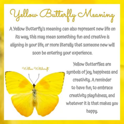 Willow Witchcraft Green Butterfly Spiritual Meaning, Butterfly Color Meaning Spiritual, Yellow Butterfly Spiritual Meaning, Butterfly Symbolism Meaning, Butterfly Spiritual Meaning, Yellow Butterfly Meaning, Butterfly Spirit Animal, Yellow Butterfly Tattoo, Butterfly Symbolism