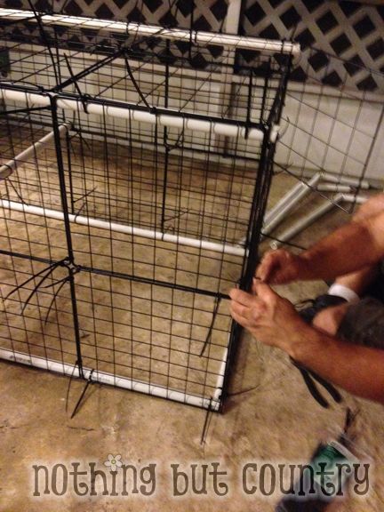 DIY Rabbit / Bunny Cage for cheap | Nothing But Country Rabbit Cage Ideas Diy, Cheap Rabbit Cage Ideas, Diy Bunny Cage Indoor, Rabbit Enclosures, Bunny Sheds, Jasmine Diy, Bunny Houses, Mobile Petting Zoo, Diy Bunny Cage