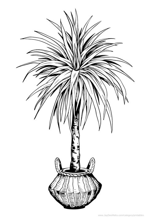 Houseplants Coloring Page: Yucca Tree (and Fun Ideas for Using It) Yucca Tree Tattoo, Yucca Plant Drawing, Yucca Plant Indoor, Yucca Tree, Plant Sketches, Tree Coloring, Linear Art, Yucca Plant, Tree Coloring Page