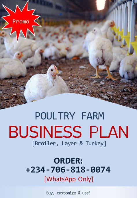 Poultry Farm Business Plan, Chicken Farm Design How To Build, Poultry Farm Design Layout, Marketing Plan Template Free, Farm Business Plan, Poultry Farm Buildings, Chicken Business, Business Plan Format, Dog Mange