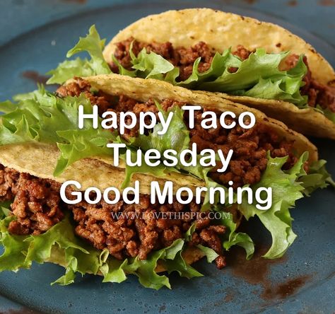 Happy Taco Tuesday Funny, Taco Tuesday Humor, Taco Tuesday Quotes, Happy Taco Tuesday, Taco Tuesday Recipes, Door Dash, Happy Taco, Morning Tuesday, Taco Taco