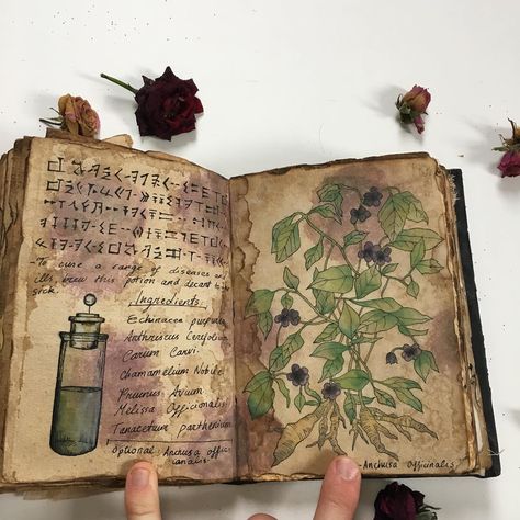 Repost again. This is my handmade replica of Cassie Blake’s Book of Shadows from The CW’s popular TV show-‘The Secret Circle’. Now… The Secret Circle, Secret Circle, Fairy Aesthetic, Arte Inspo, Green Witch, Magic Book, Nature Journal, The Cw, Spell Book