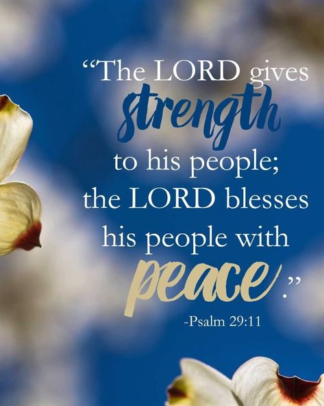 Verse of The Day: Psalm 29:11 | From Pure Chaos To Perfect Peace Psalm 29 11, Psalm 11, Psalm 29, Good Morning Saturday, Take Control Of Your Life, Perfect Peace, Divine Mercy, Inspirational Quotes God, Living Water