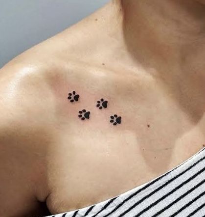 Paw Print Collar Bone Tattoo, Flounder Tattoo, Paw Tattoos For Women, Boxing Tattoos, Cat Paw Tattoos, Tiny Paw Print, Collarbone Tattoo, Pawprint Tattoo, Dog Paw Tattoo