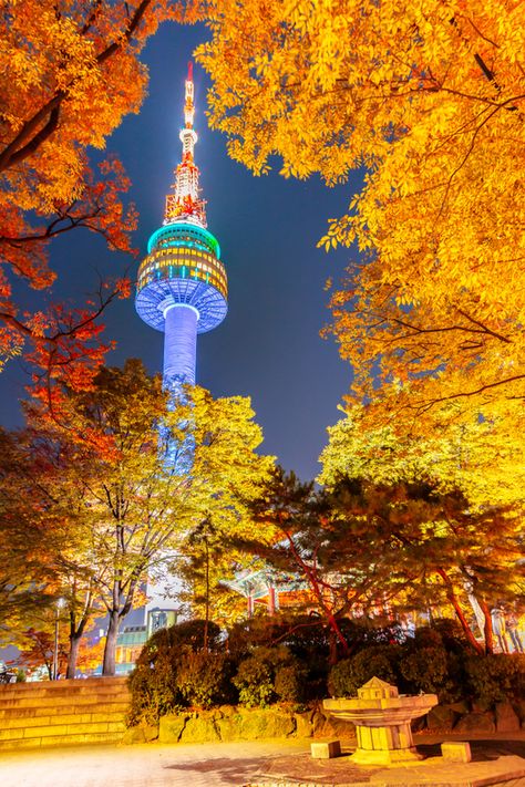 Jimbaran, N Seoul Tower, Seoul Tower, Autumn In Korea, Seoul City, Seoul Travel, Beautiful Scenery Photography, Human Logo, Fall Inspo