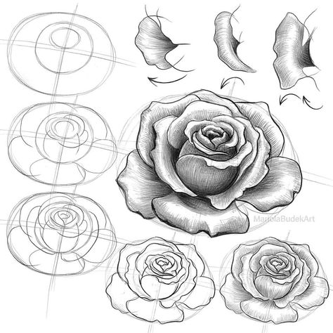 Mariola Budek Art on Instagram: “#quick #sketch 🌹 You've probably noticed that my favorite #flowers are #roses. And what are yours? #mariolabudekart #mariolabudek…” Rose Sketch, Doodle Art Flowers, Flower Drawing Tutorials, Flower Drawings, Diy Watercolor Painting, Easy Flower, Architecture Drawing Art, Basic Drawing, Roses Drawing