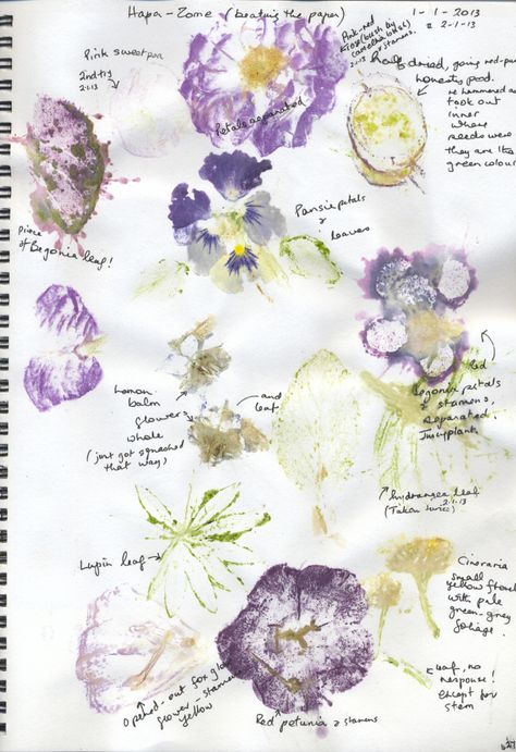 Hapa-zome on paper – Celia Wilson Hapa Zome, Flower Pounding, Hammered Flowers, Dyi Flowers, Leaf Dyeing, India Flint, Textiles Sketchbook, Eco Dyeing, Flower Press