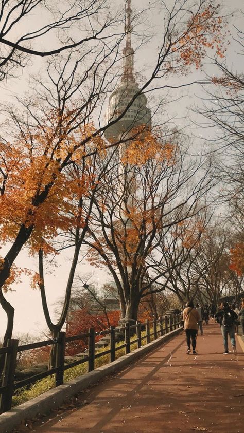 Phone Photography Tutorials, Autumn In Korea, Namsan Tower, South Korea Photography, Seoul Korea Travel, Korea Wallpaper, South Korea Seoul, South Korea Travel, Cat Air