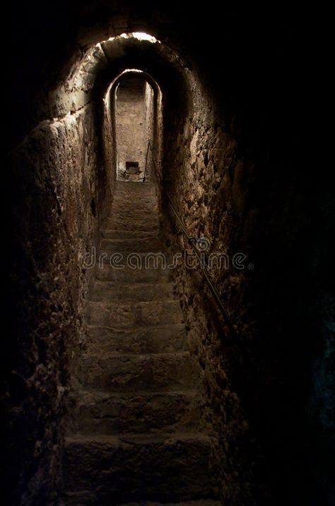 Old Mansions, Secret Passage, Tunnel Book, Secret Passages, Secret Tunnel, Palace Interior, Castle Aesthetic, Shadow 2, Horror Book