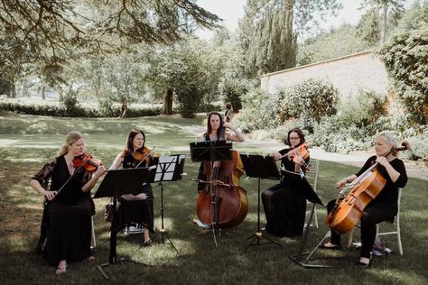 Live Orchestra Wedding, Wedding Quartet, Orchestra Wedding, Wedding Orchestra, String Quartet Wedding, Bass Playing, Bridgerton Wedding, Drinks Reception, Fairytale Aesthetic