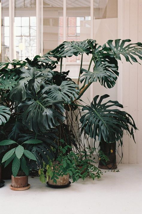 Philosophy - Michael Anastassiades Orleans France, Eclectic Industrial, Things That Go Together, Norfolk House, St Louis Art, Michael Anastassiades, British Colonial Style, Outdoor Plant, Porch Garden