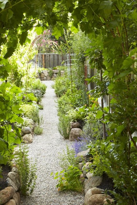 The New Vegetable Garden: 8 Favorite Edible Backyards Funny Vine, Lots Of Plants, Edging Plants, Garden Vines, Potager Garden, California Garden, Edible Landscaping, Veg Garden, Vegetable Garden Design