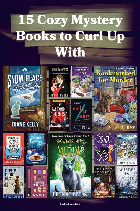 Mystery Books Worth Reading, Book Club Suggestions, Cozy Mystery Series, Cozy Mystery Books, Book Wishlist, Cozy Mystery Book, Library Aesthetic, Relationship Books, Cozy Mystery