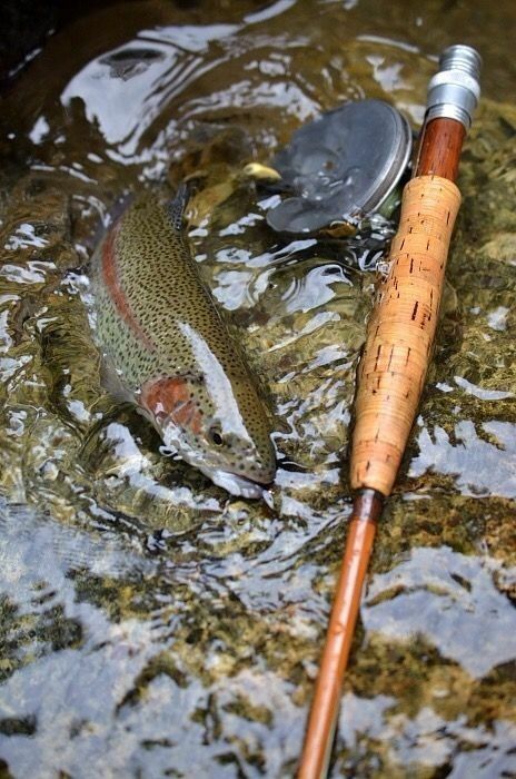 Trout Fishing Tips, Bamboo Rods, Fishing Photos, Bamboo Fly Rod, Fishing Photography, Fly Fishing Tips, Fly Fishing Gear, Fishing Pictures, Brown Trout