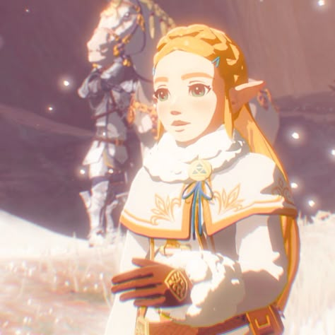 Zelda Aesthetic, Age Of Calamity, Zelda And Link, Zelda Botw, Legends Of Zelda, Tears Of The Kingdom, Link Zelda, Zelda Breath Of The Wild, Legend Of Zelda Breath