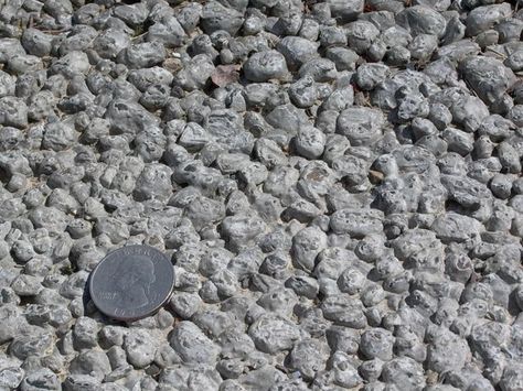 Porous Concrete Porous Pavement, Pervious Concrete, Garden Walkways, Edging Stones, Permeable Paving, Garden Pavers, Paver Blocks, Stone Step, Step Stones