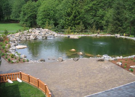 landscaping Vancouver Washington. Complete with large #paverpatio and large #pond for swimming and fishing. Man Made Pond, Beachy Backyard, Backyard Lake, Backyard Fountain, Lake Landscaping, Bio Pool, Swimming Ponds, Pond Pool, Pool Pond