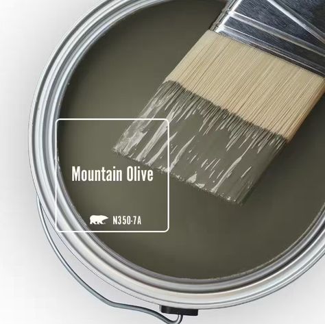 Olive Taupe Paint, Russian Olive Behr, Mountain Olive Behr Paint, Brownish Green Paint Colors, Behr Dusty Olive, Behr Olive Green Paint Colors, Olive Gray Paint, Behr Interior Paint Colors, Green Paint Colors Behr